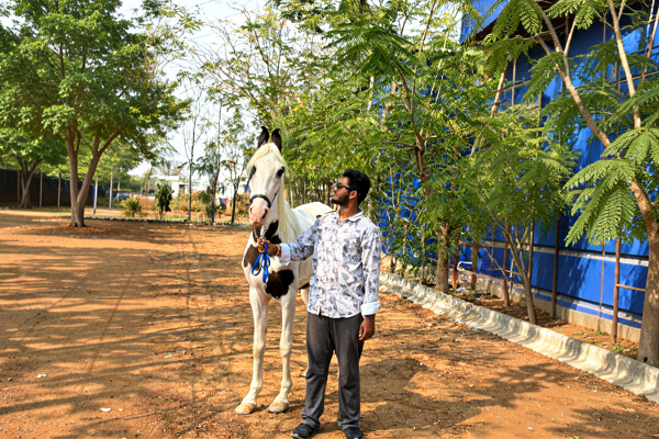 Beginner Horse Riding Classes Tamil Nadu