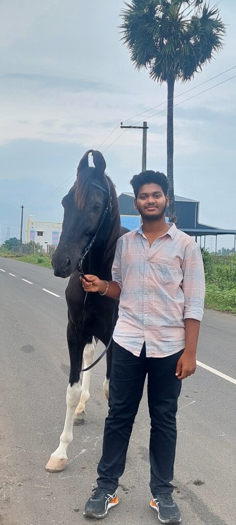 Horse Riding Practice Sessions Tamil Nadu