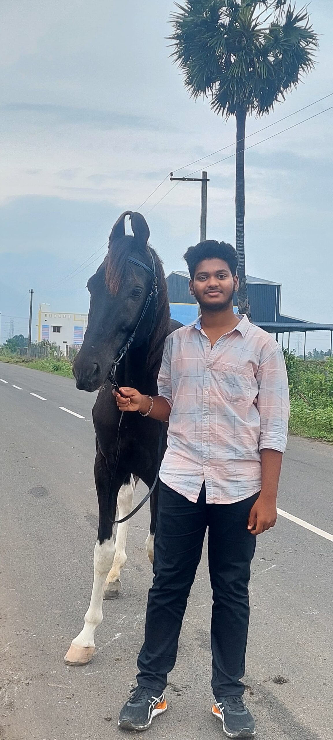 Horse Riding Practice Sessions Tamil Nadu